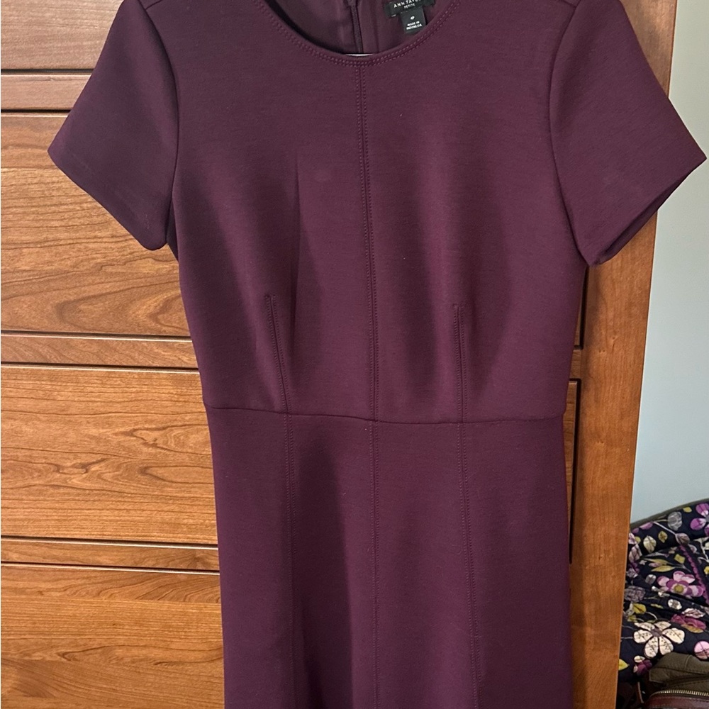 Elegant Eggplant Women's Dress